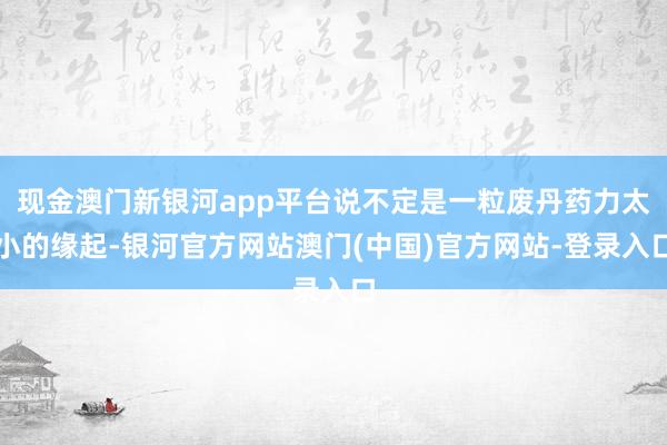 现金澳门新银河app平台说不定是一粒废丹药力太小的缘起-银河官方网站澳门(中国)官方网站-登录入口