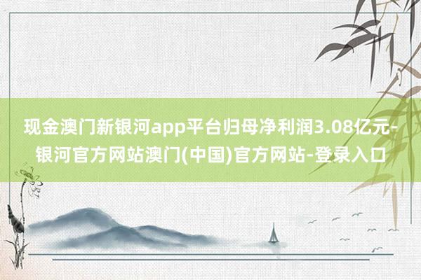 现金澳门新银河app平台归母净利润3.08亿元-银河官方网站澳门(中国)官方网站-登录入口